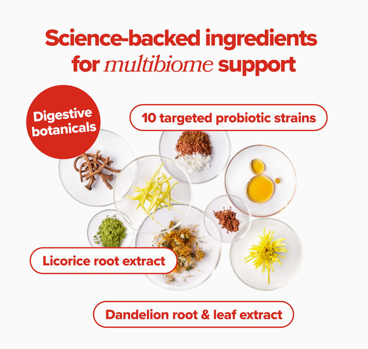 URO - Whole Body Probiotic *pre order*