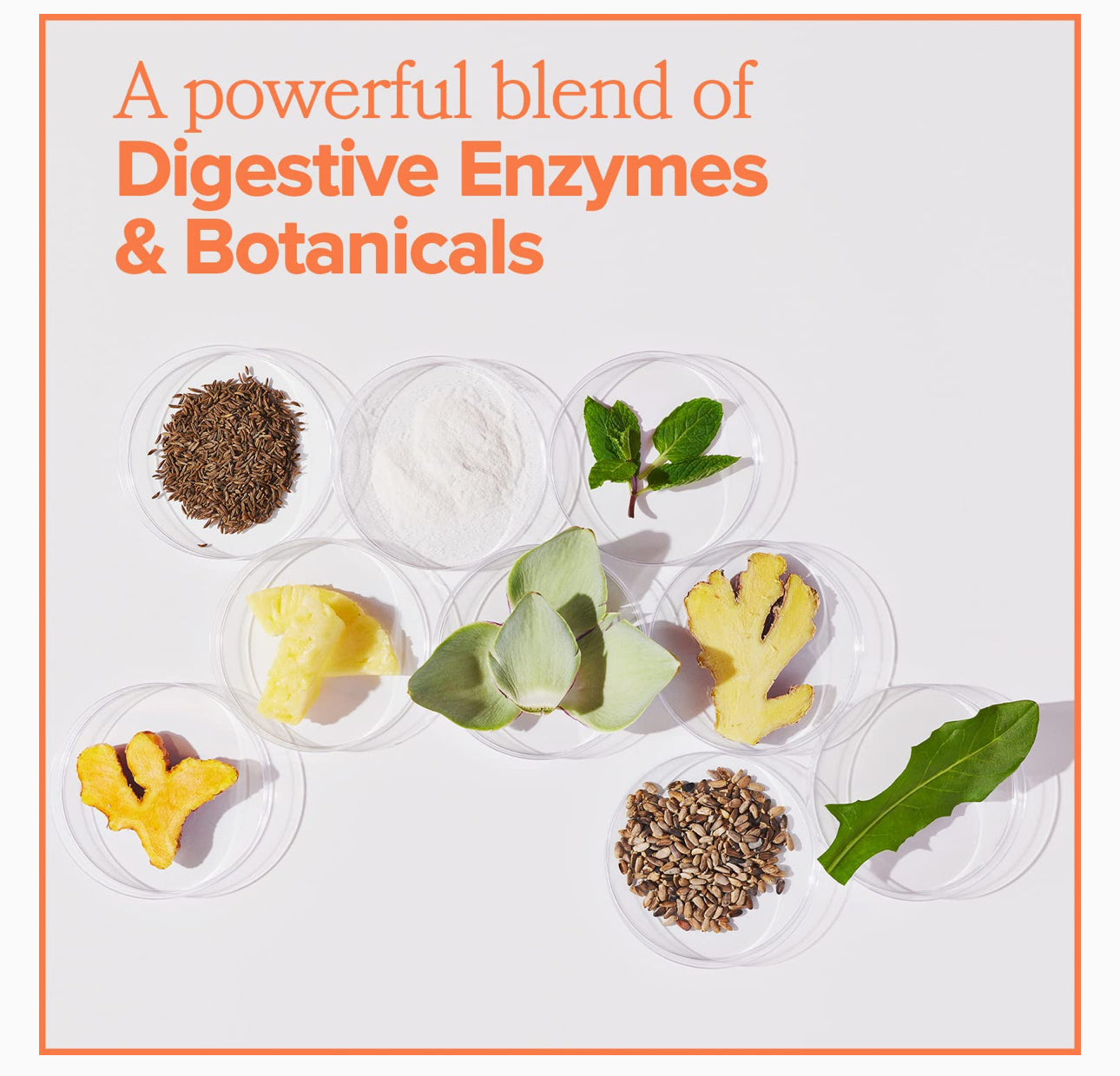 GOGO | Bloating & Gas