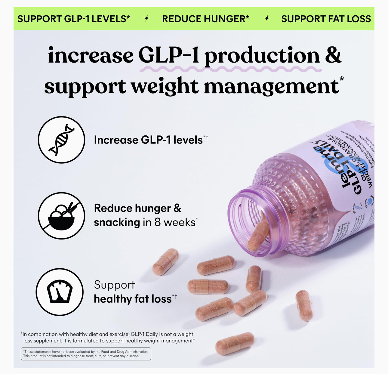 Lemme | GLP - l Daily