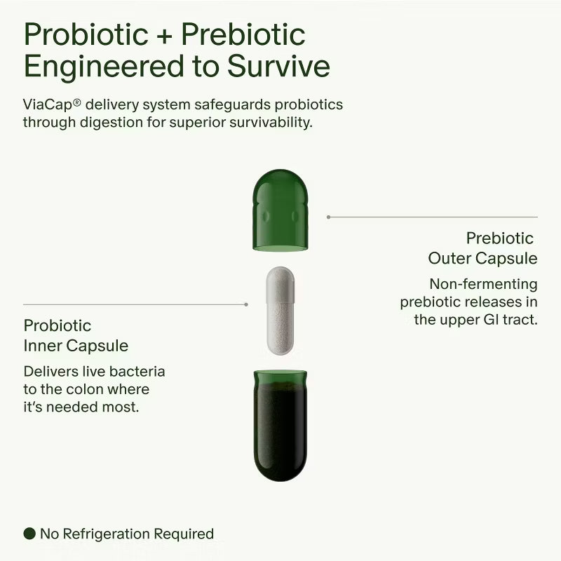 Seed - Daily Synbiotic Probiotic Capsules - 60ct