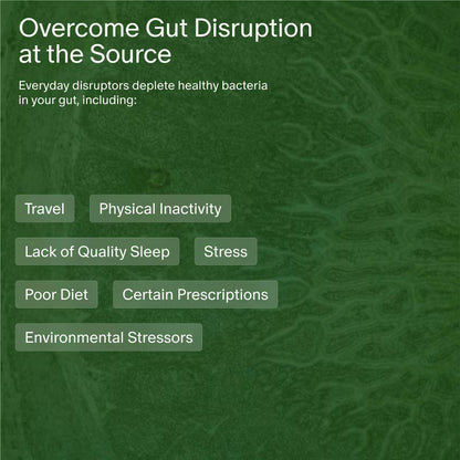 Seed - 14-Day Gut Reset Probiotic Capsules - 28ct