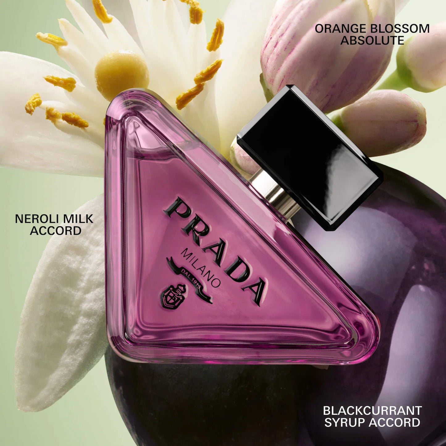 Prada - Paradoxe Sweet Chemistry Eau de Parfum with Blackcurrant