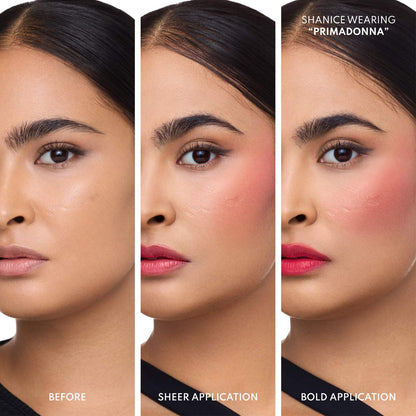 Danessa Myricks Beauty - Yummy Skin Blurring Balm Powder Flushed - Matte Color for Cheek & Lip